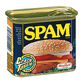 Spam  Canned Meat Left Picture